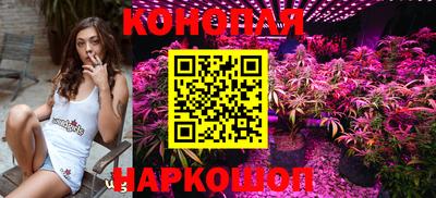 спайс Обь