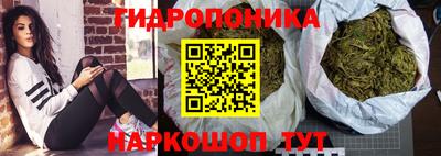 спайс Обь
