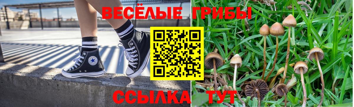 Галлюциногенные грибы Psilocybe  Галлюциногенные грибы Psilocybine cubensis  Вход с VPN  Светлоград 